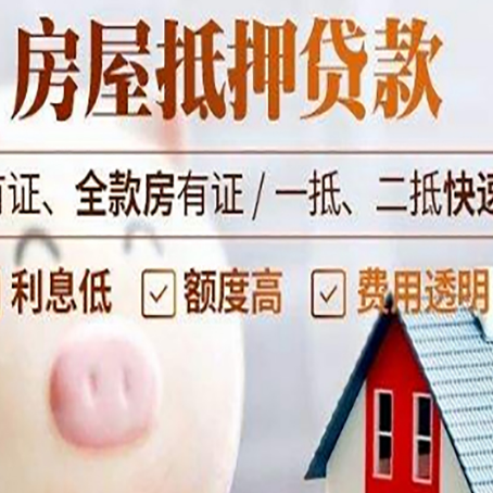 涟源贷款助贷公司新渝启服成立时间久